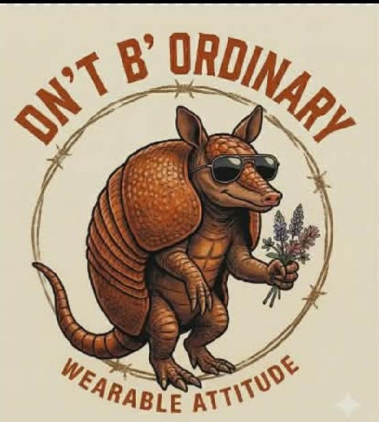 Dn't B' Ordinary design mockup